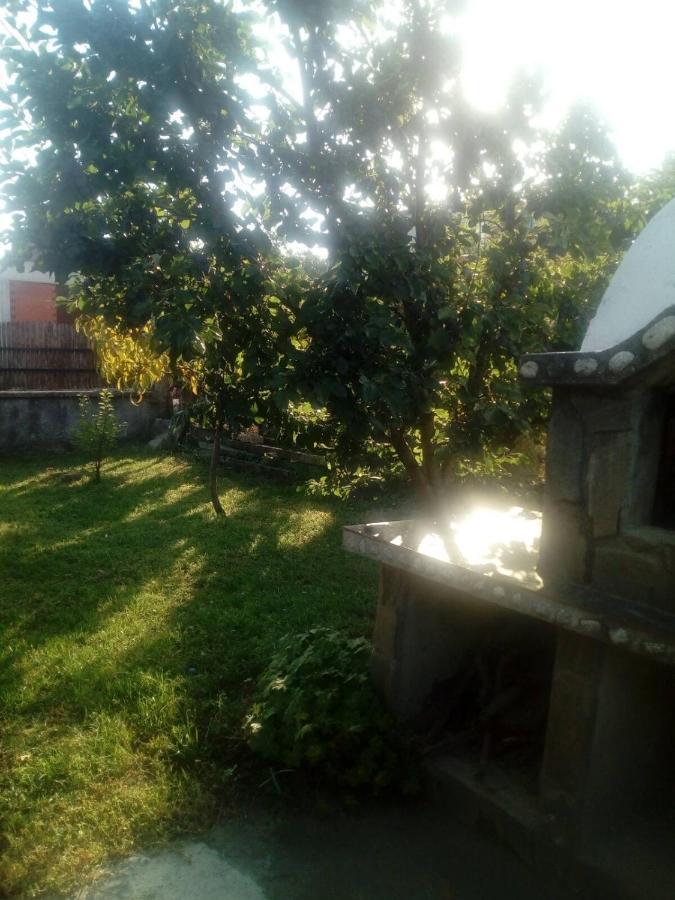 Къща За Гости Ягода Saparewa Banja Exterior foto