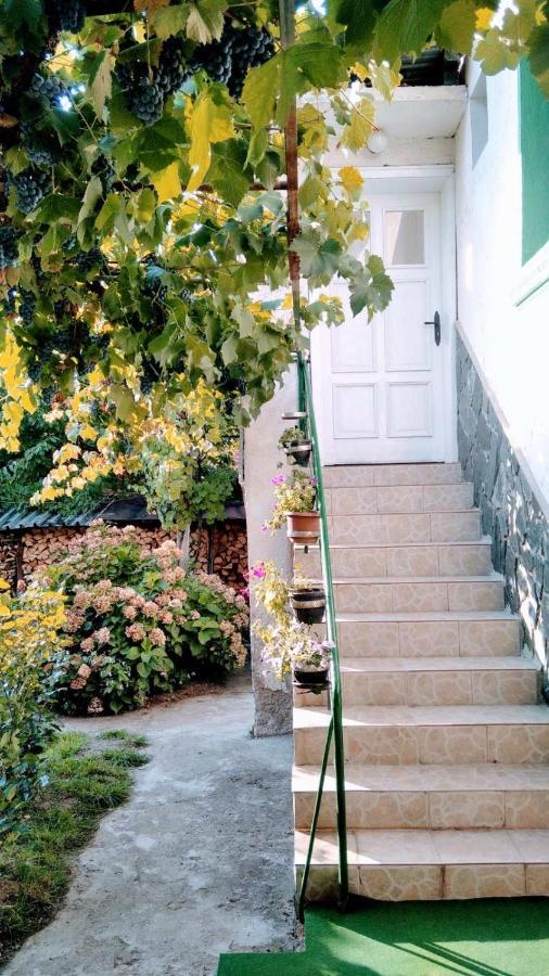 Къща За Гости Ягода Saparewa Banja Exterior foto