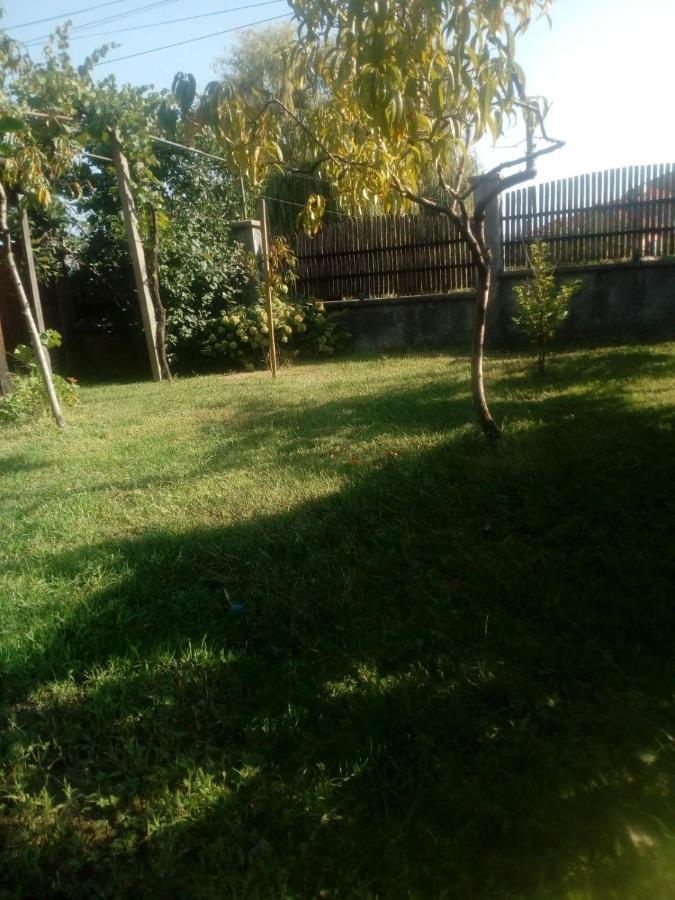 Къща За Гости Ягода Saparewa Banja Exterior foto