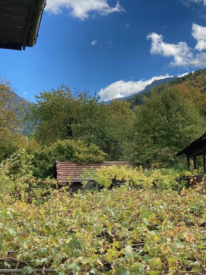 Къща За Гости Ягода Saparewa Banja Exterior foto